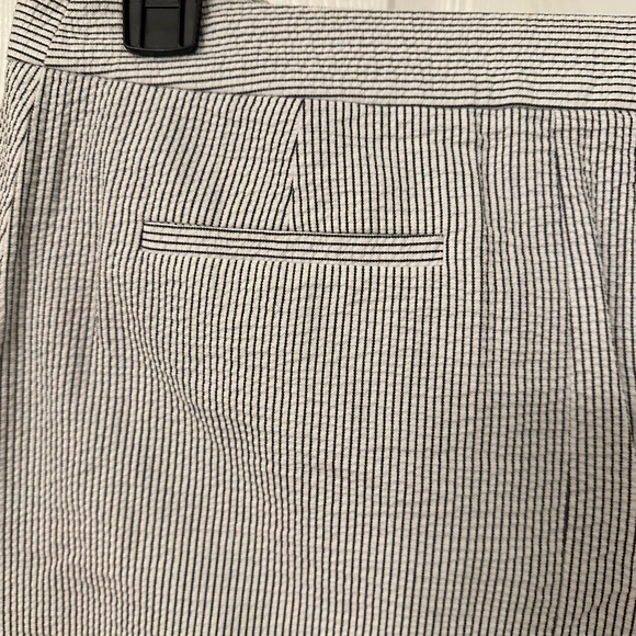 J Crew Pinstripe Skirt: White & Navy - Picture 5 of 6